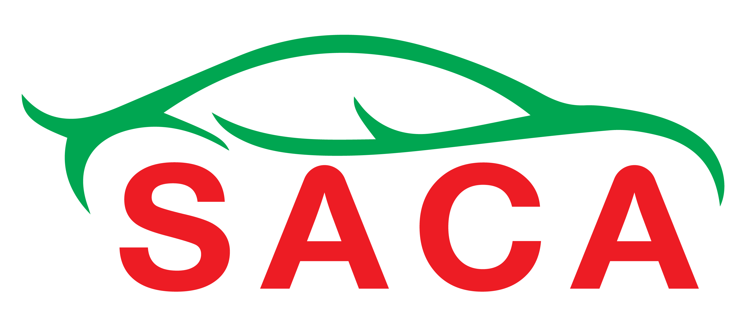 Canvas Logo